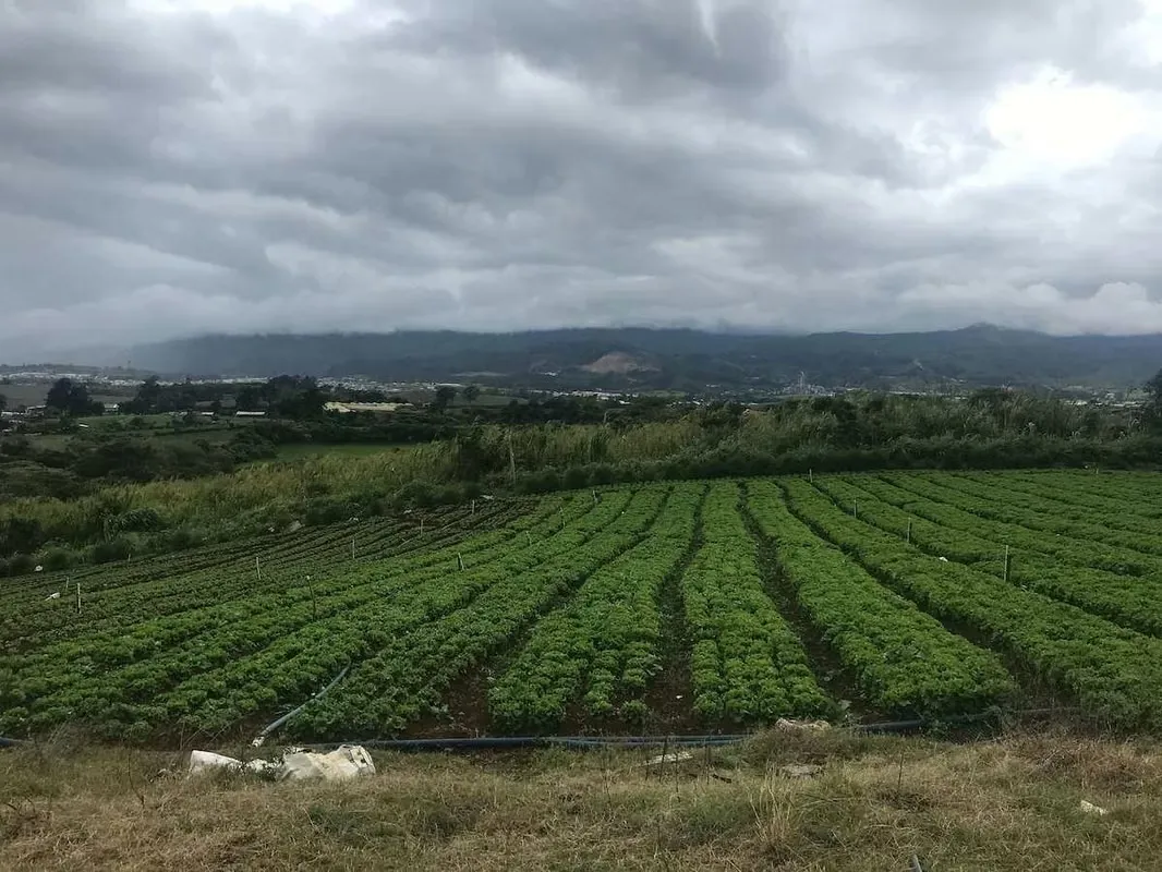 Terreno Agrícola en Cote de Cartago (AD)
