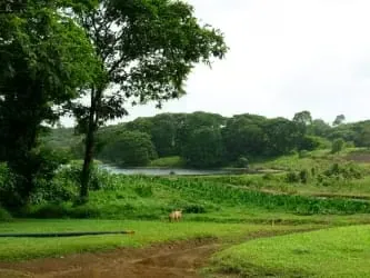 Venta de Finca para Conservación, Pococí, Limón