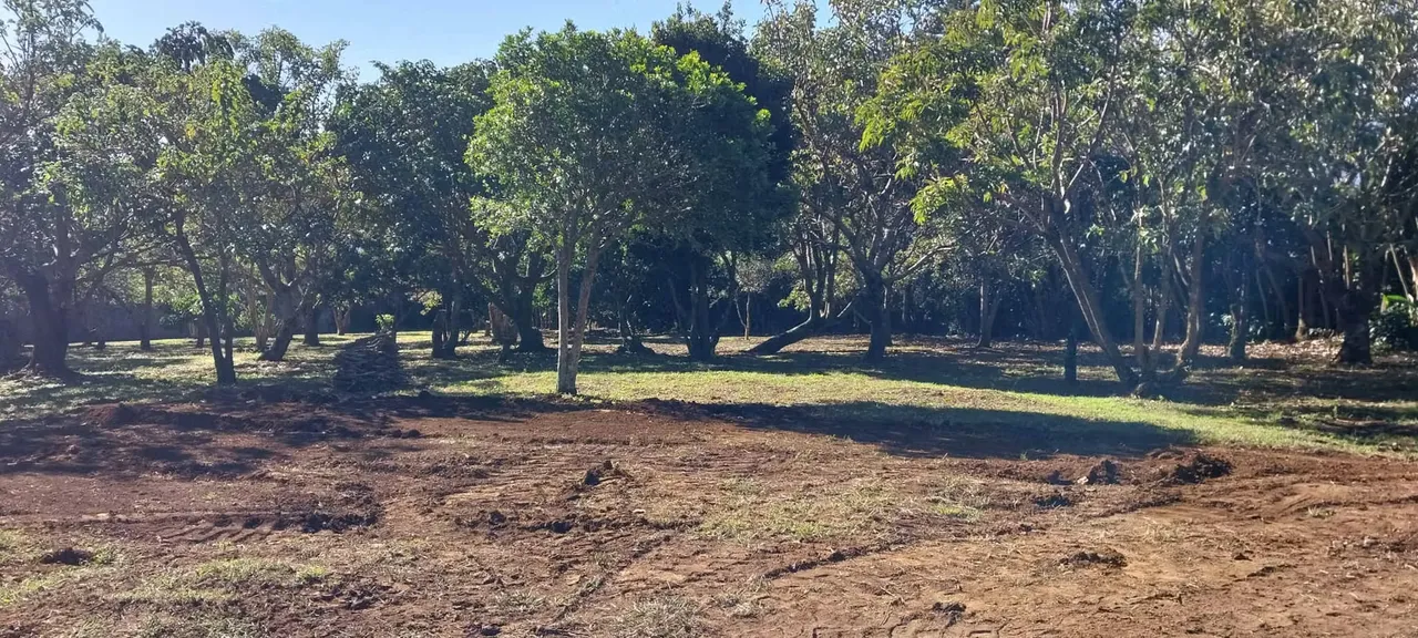 Land for sale, Concepcion de San Rafael Heredia, 3,500 sq. mtrs.