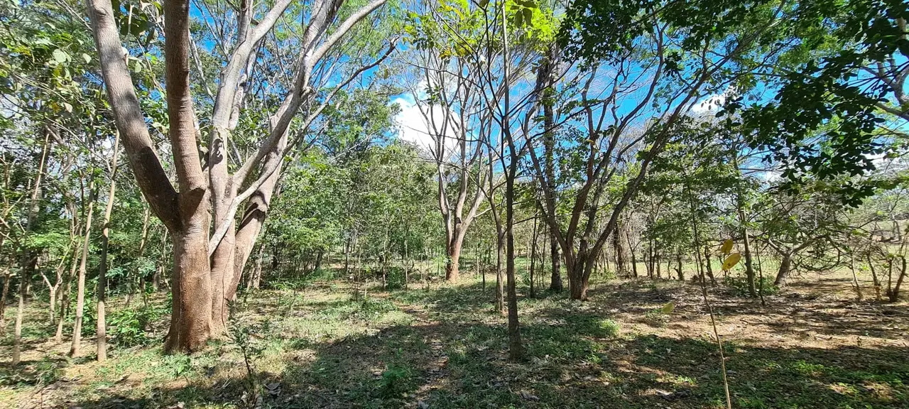 Venta gran terreno 1 ha + 2,996 m2 Cuarros - Tárcoles cerca de Bajamar