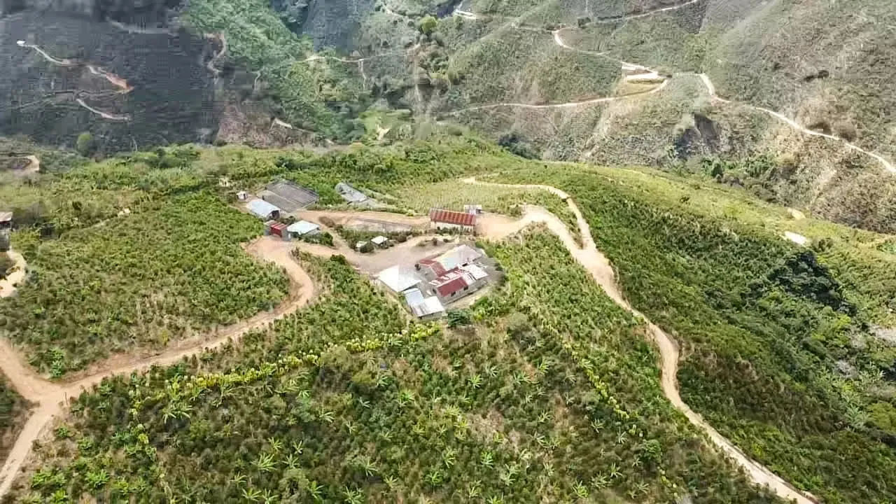 Se vende Finca de café HH, San Cristóbal, Zona de los Santos (FE).