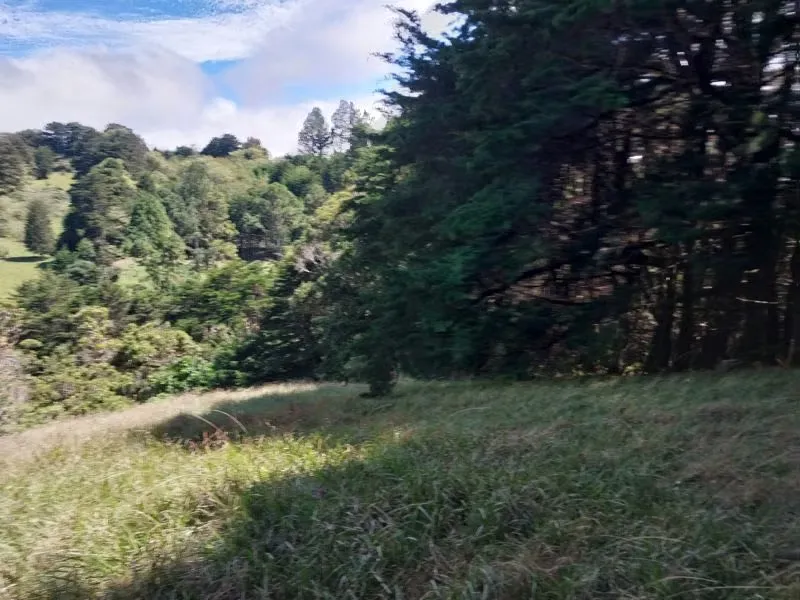 Finca en Concepcion de San Rafael Heredia 3.6 hectareas
