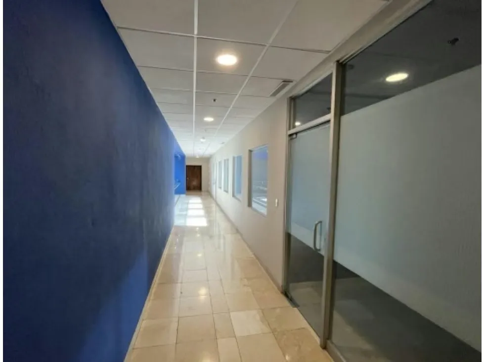 ALQUILER DE OFICINA, SAN JOSE, ESCAZU, PLAZA ROBLE
