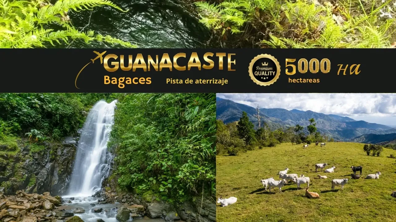 Mega Finca Ganadera con Pista de Aterrizaje – Bagaces (5.000 Ha)