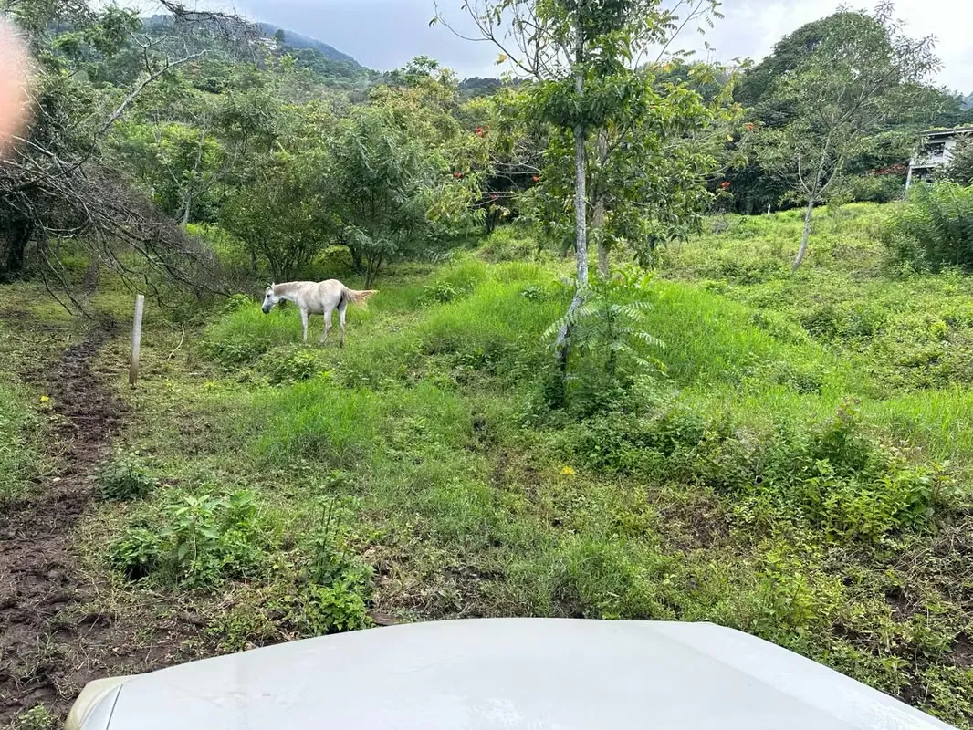 OPPORTUNITY Lote sale in Escazú