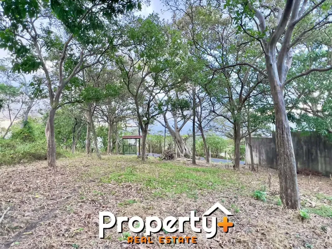 Located in Mirador, San Rafael de Escazú, with easy access to Santa Ana, this lot offers an excellent location. With 963m2 of flat land and 50% ...