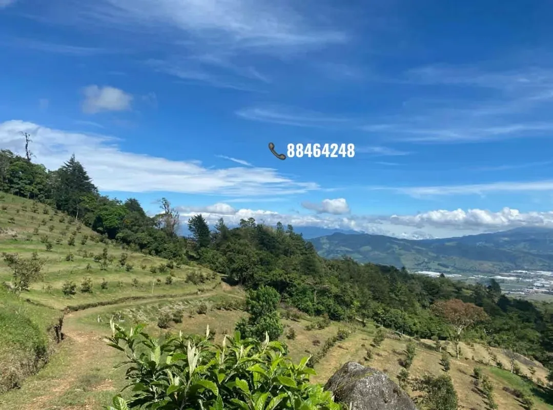LAND FOR SALE IN EL GUARCO, CARTAGO