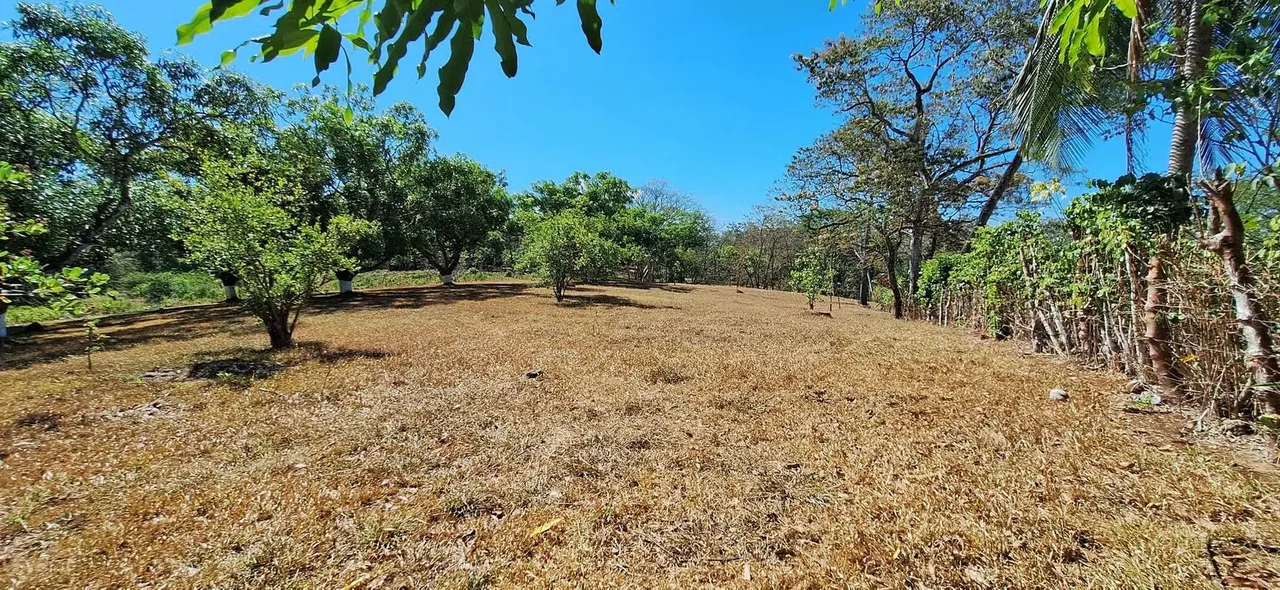 VENTA Country pitch for fifth in Mastate de Orotina, Alajuela