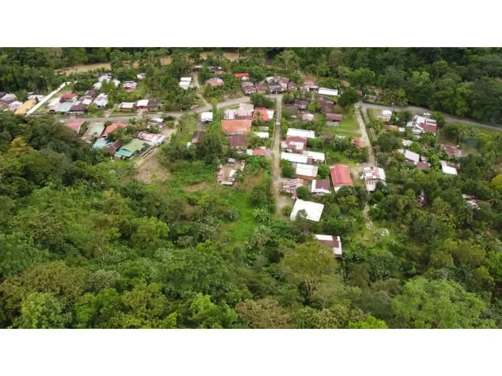 VENTA DE FINCA, USO MIXTO, PUNTARENAS, CIUDAD NEILLY, CORREDORES