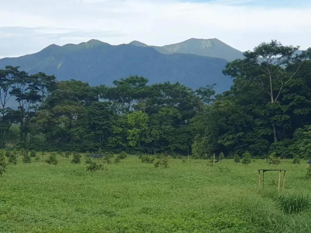 Just 400m from the Centro de Aguas Claras y caretera asfaltada to the farm, with all public services, flat ...