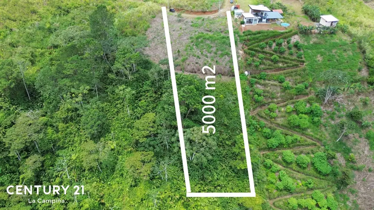 Se venden quintas en Sitio Mata, Turrialba.