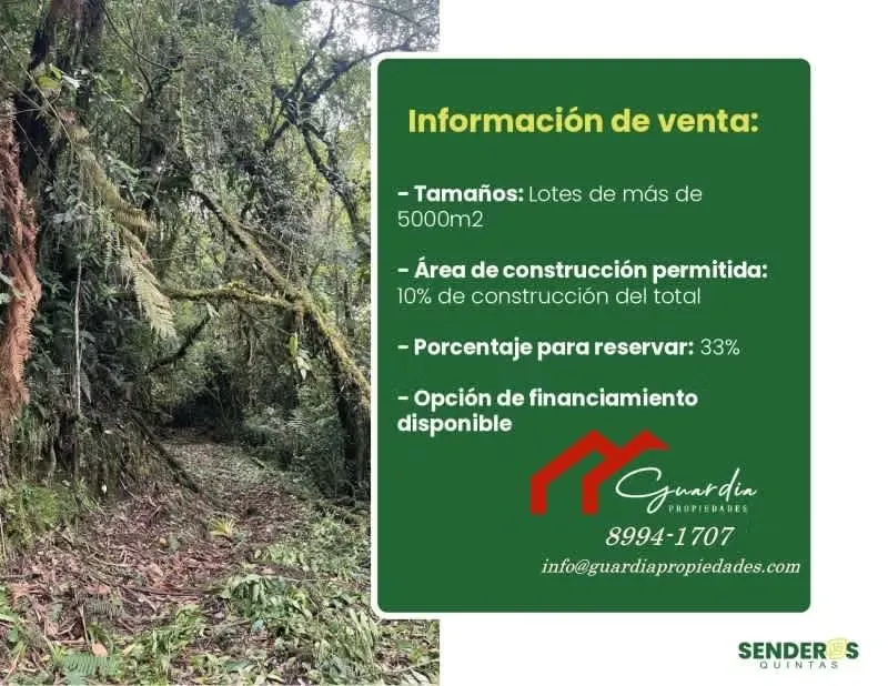Quintas for sale in El Empalme, Cartago, Costa Rica. surrounded by nature.