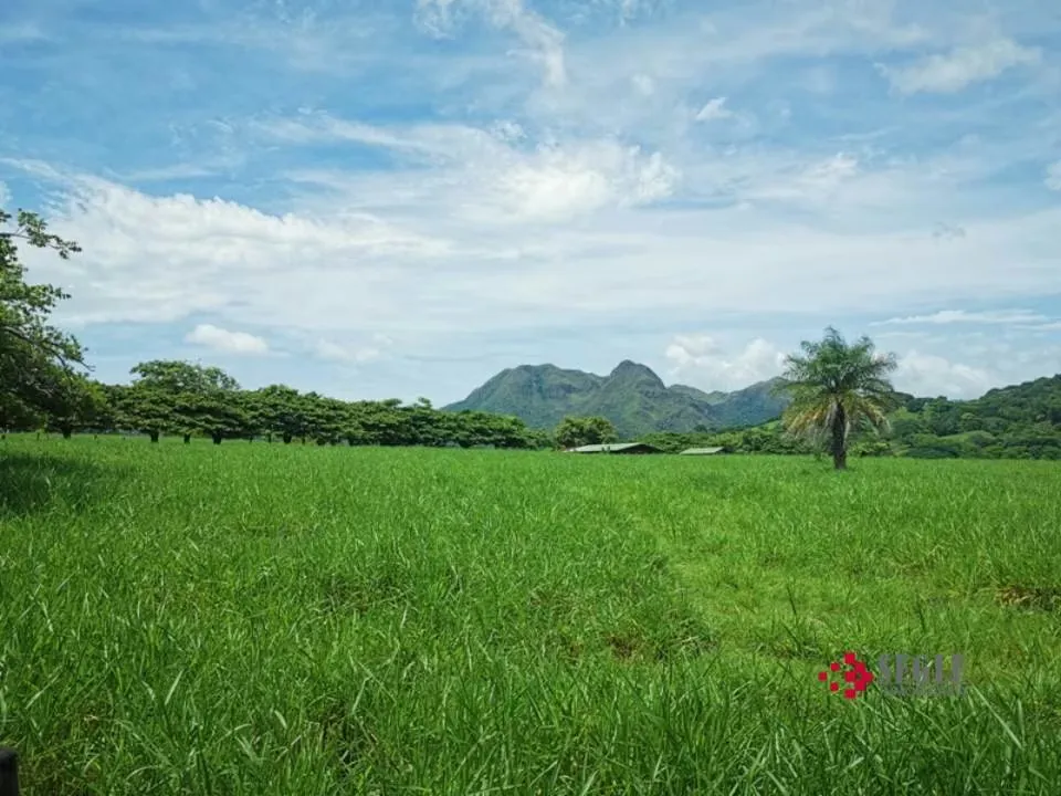 Venta de Finca en Higuerón de Cañas, Guanacaste