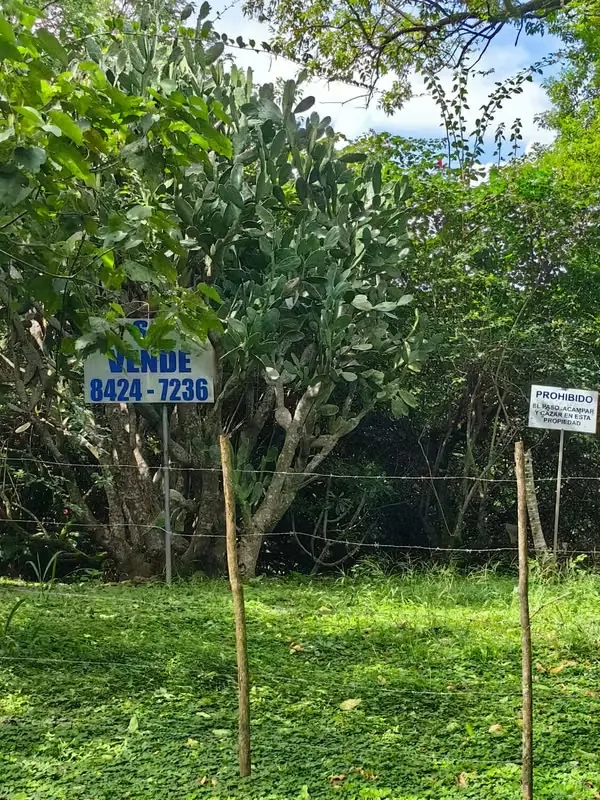 Vendo terreno en Piedades de Santa Ana