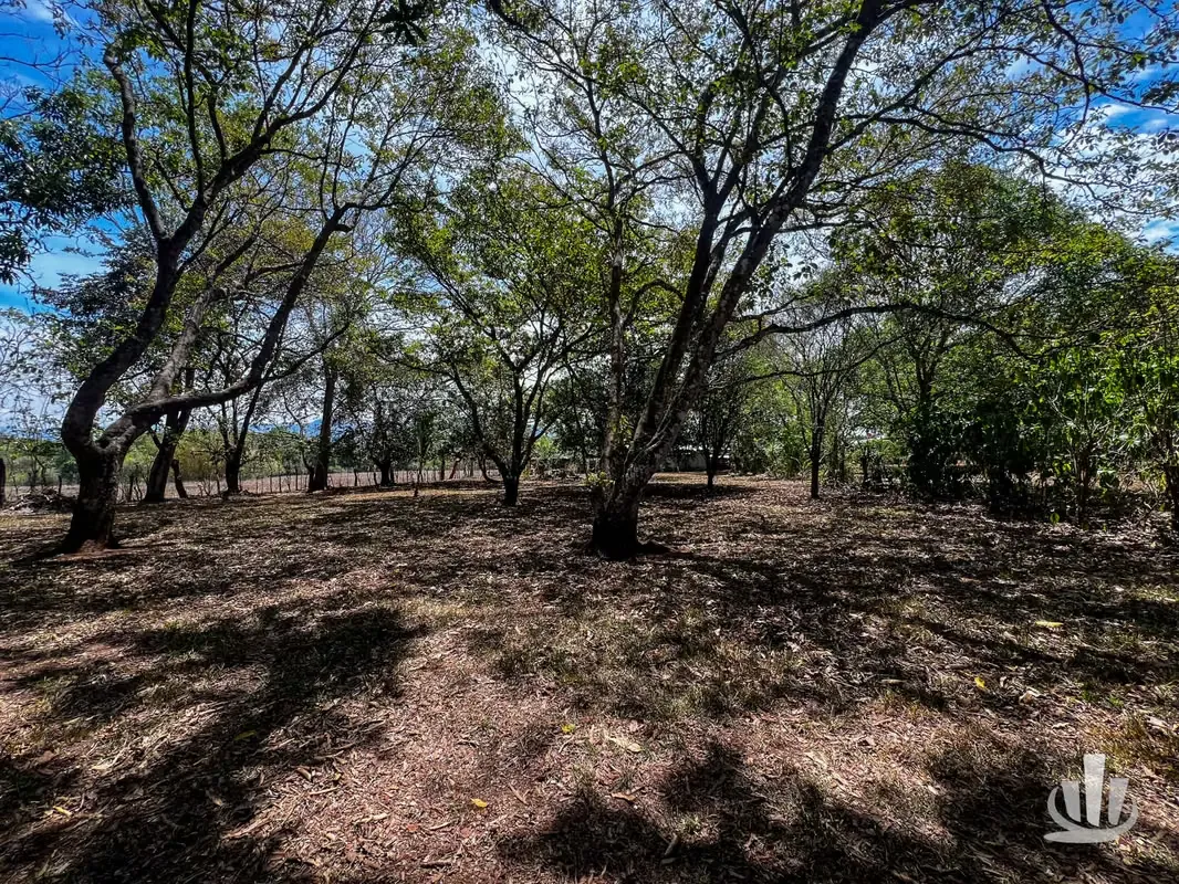 Lote en venta Coyolar, Puntarenas