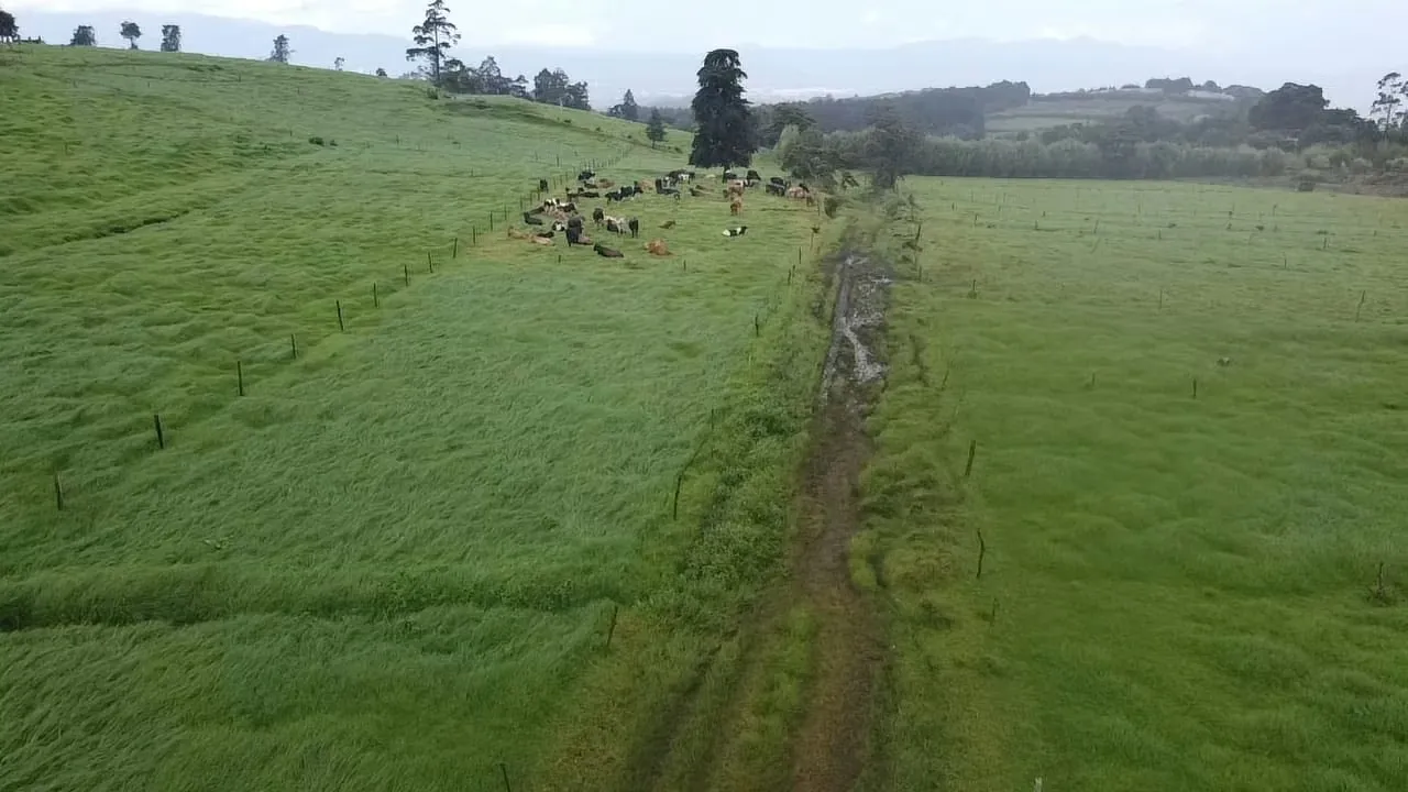 Finca en venta en Fraijanes, topografía plana, ideal para desarrollo
