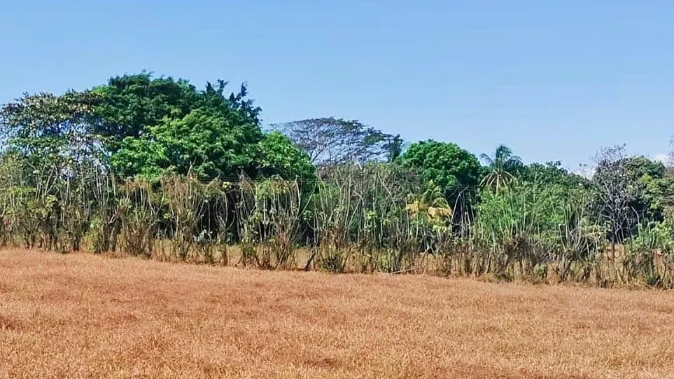 Terreno en venta Playa Guacalillo