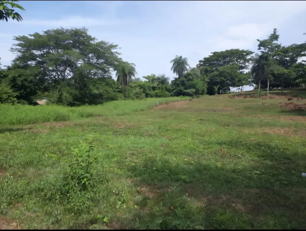 Property for sale in Puntarenas Garabito