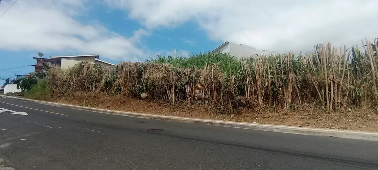 Land for Development for Sale - San Rafael, Montes de Oca ID 5472