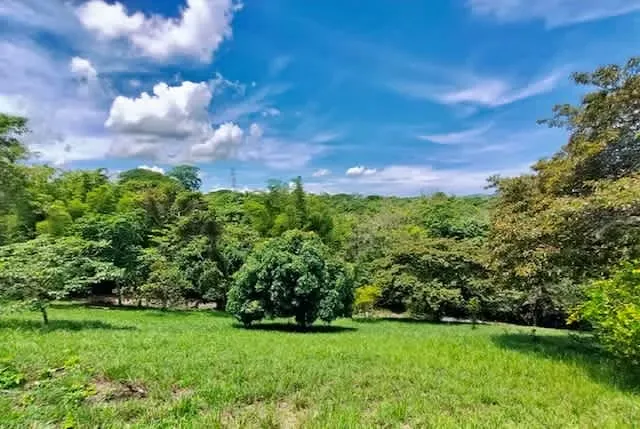 Venta lotes Esparza en condominio  mucha naturaleza vista mar
