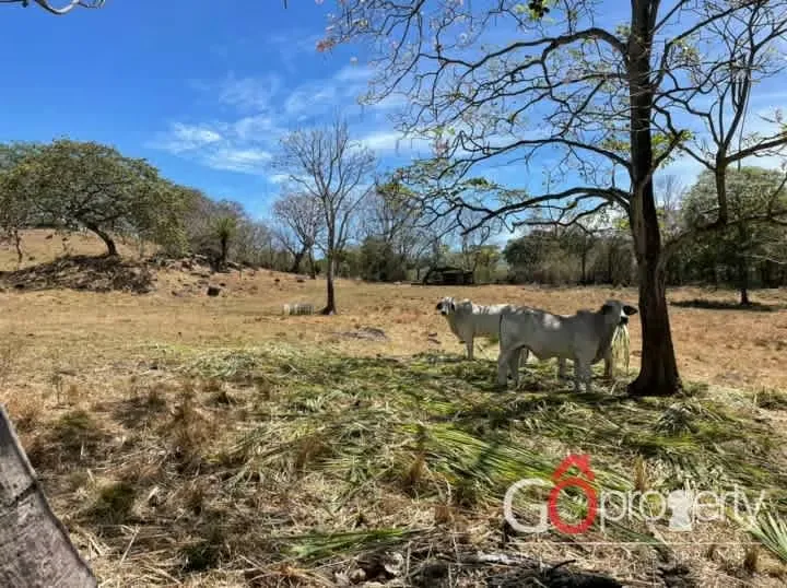 Gran terreno en venta industrial, comercial y residencial en Turrúcares, Alajuela