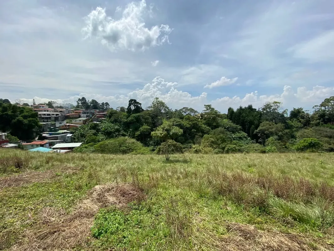 Price Reduced from 40 to 20 dollars per Square Meter! 4437