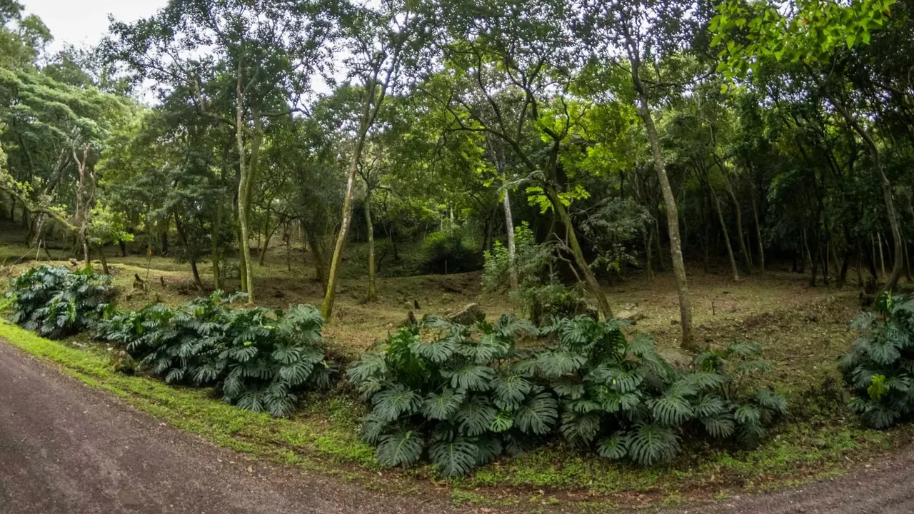 SE VENDE LOTE EN CONDOMINIO MONTAÑA DEL SOL