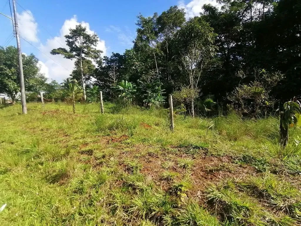 FINCA EN VENTA. 7,8 HECT. RIO. FRENTE A CALLE