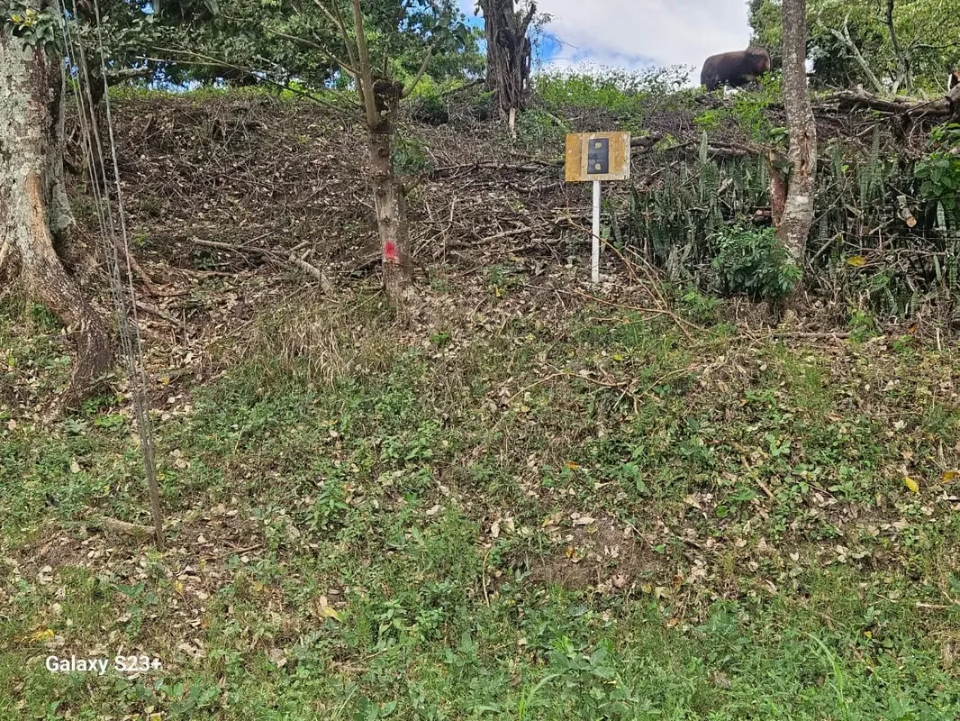 LAND FOR SALE IN BELLO HORIZONTE ESCAZÚ- IDEAL FOR INVESTORS