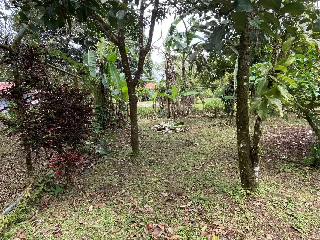 Venta  de lote San Isidro de Peñas Blancas, San Ramón, Alajuela.