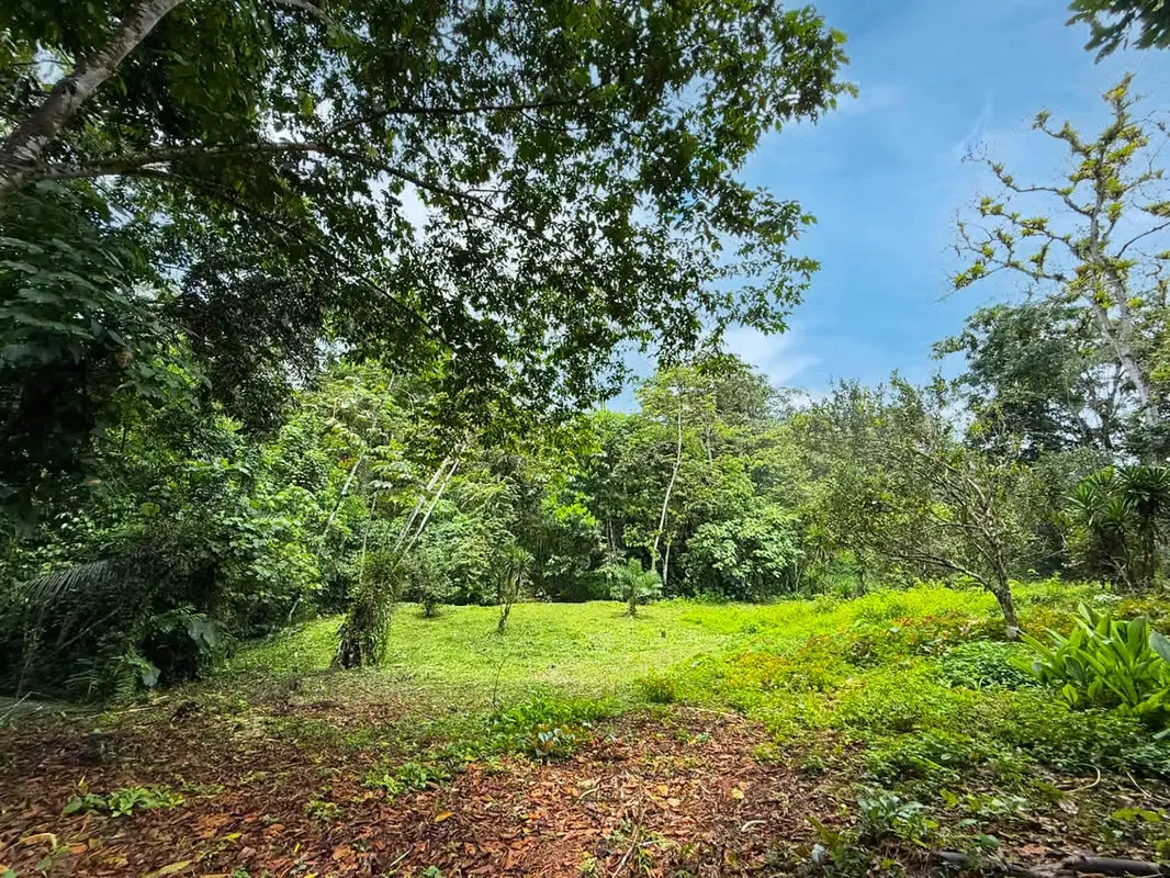 Se vende Terreno en San Antonio de Garabito, Puntarenas (MV).