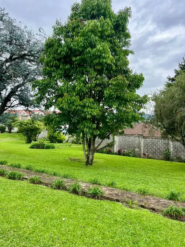 VENTA DE ESPECTACULAR CASA CON AMPLIO TERRENO - SANTA MARTA - MONTES DE OCA