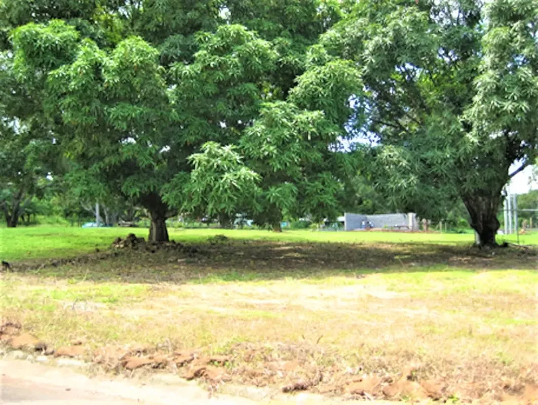 Lote plano en zona tranquila excelente inversión ( PO 1142 )