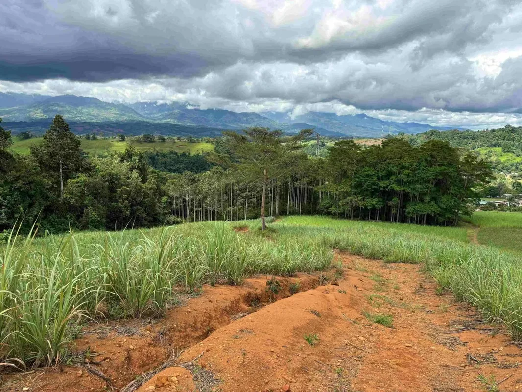 Se Vende Terreno Agrícola en Juntas de Pacuar, Pérez Zeledón