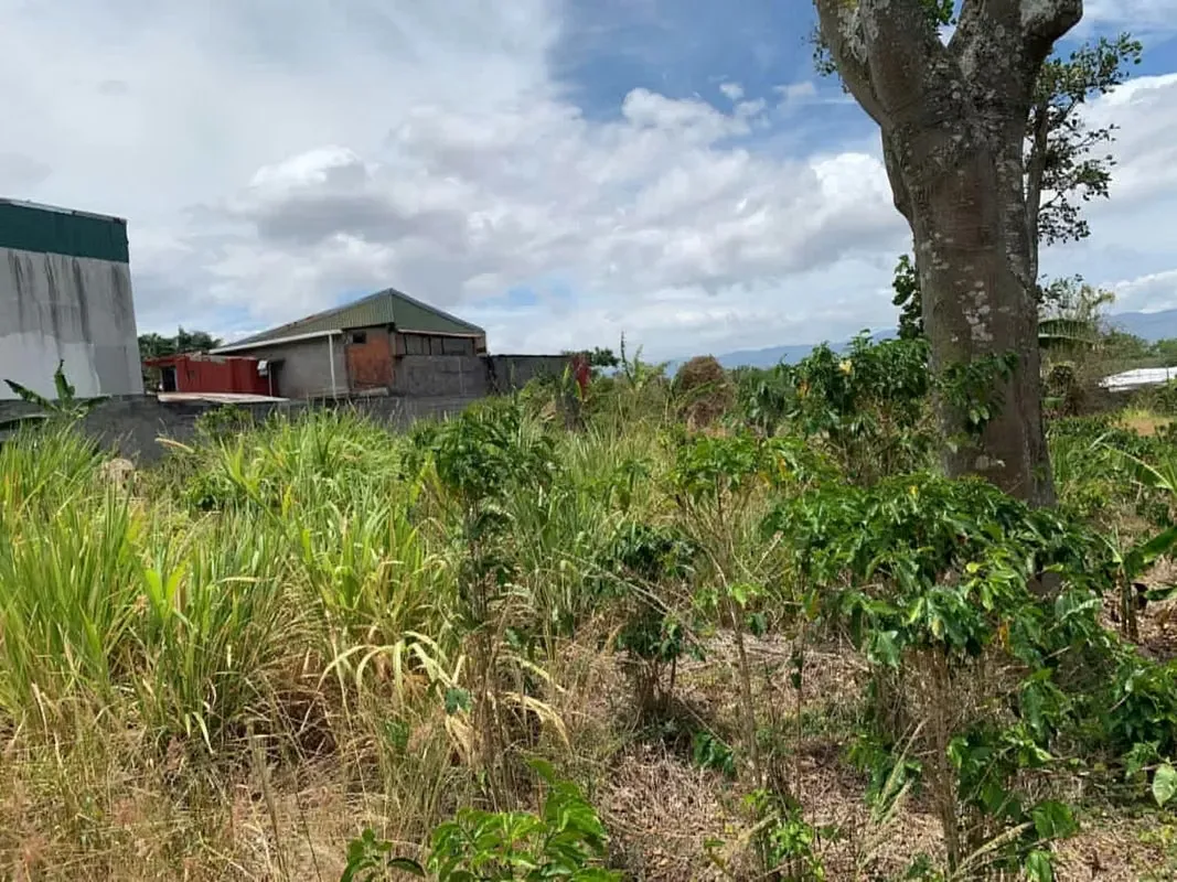 Santo Tomas, Santo Domingo terreno para desarrollo