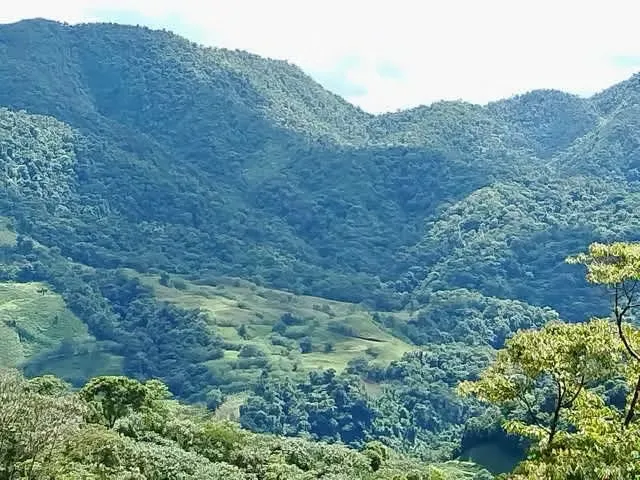 Venta finca San Ramón ECOLOGICAL $180.000
