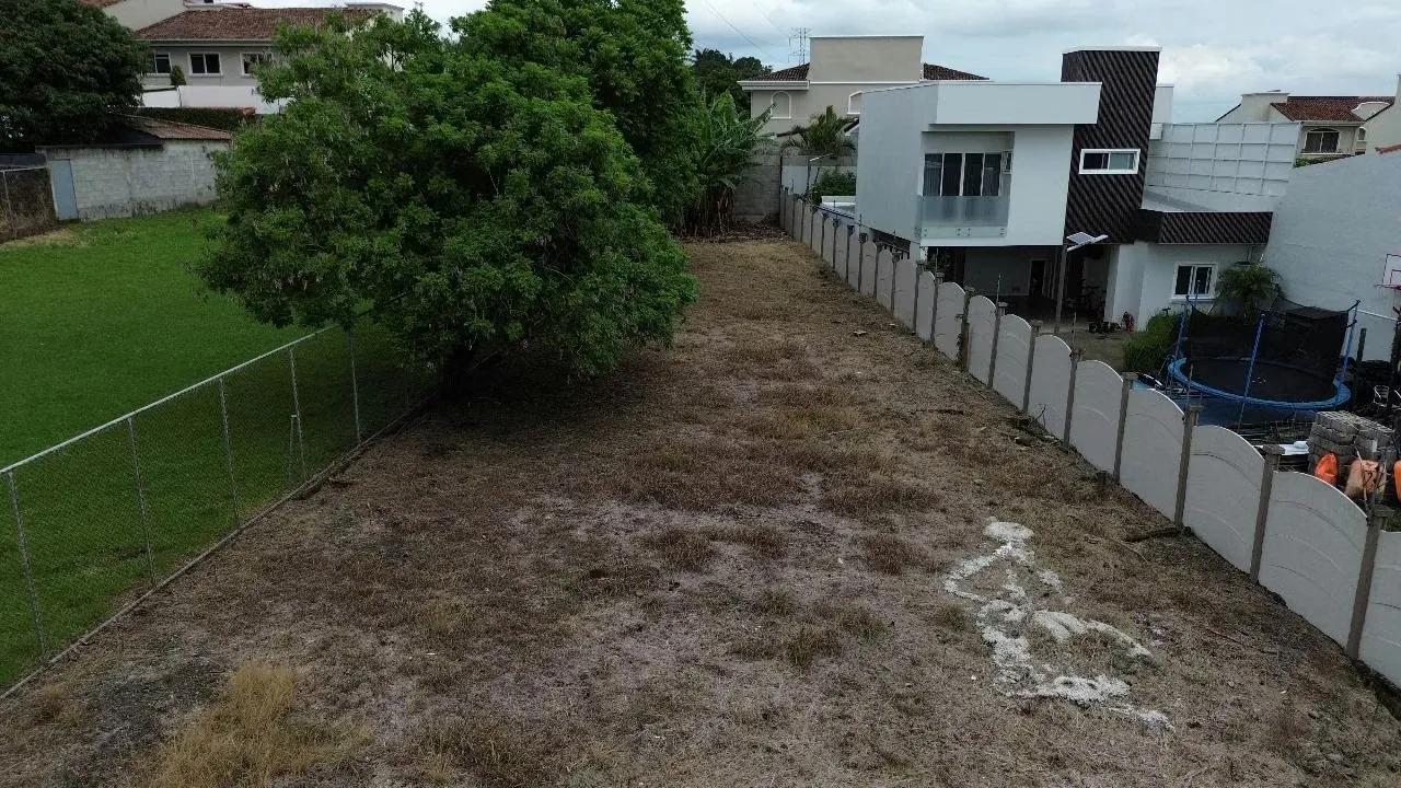 Scazoo, Pinar del Río Urbanization