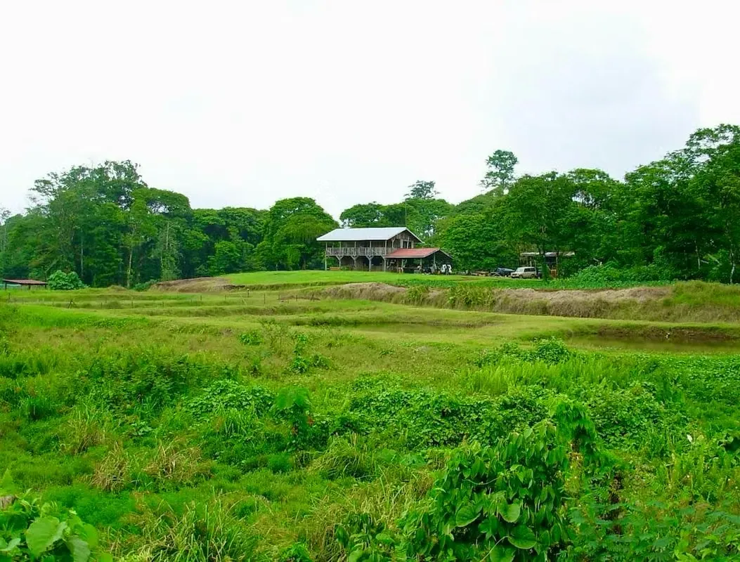 Se vende finca ideal para producción  agrícola y turismo ecológico