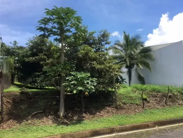 VENTA DE AMPLIO LOTE  EN BRASIL DE MORA