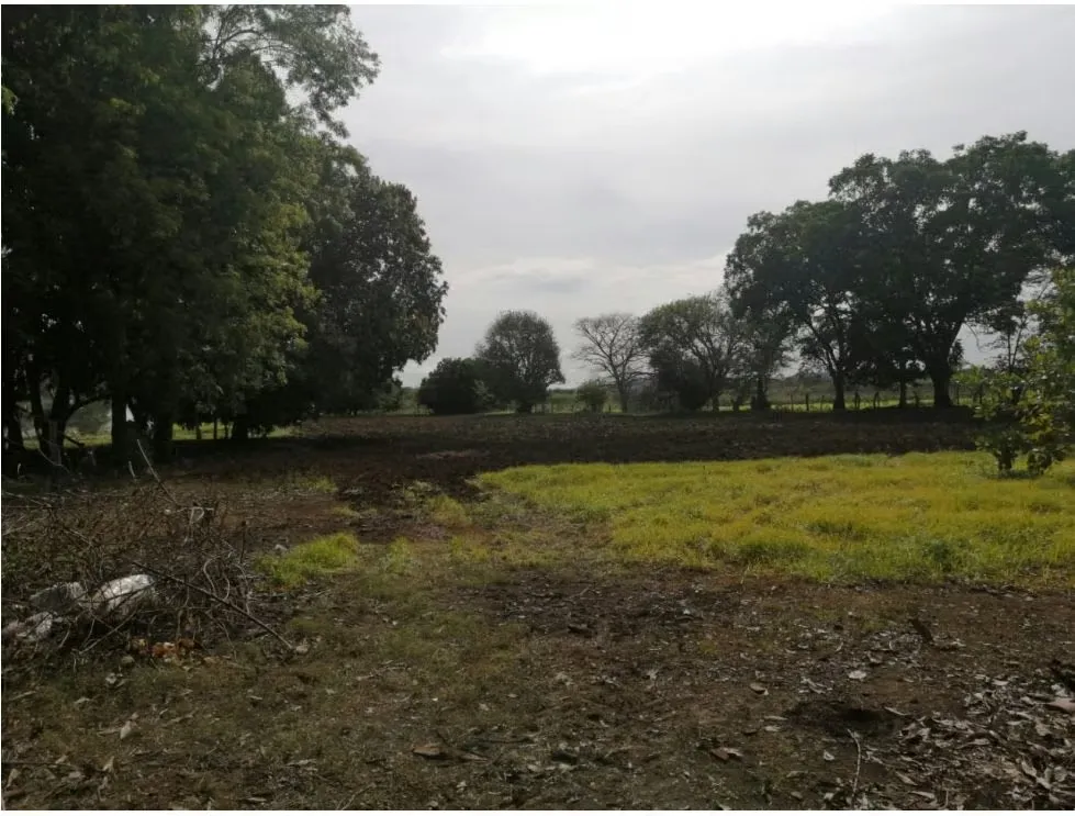 LOT FOR SALE, GUANACASTE, CARRILLO, PALMIRA