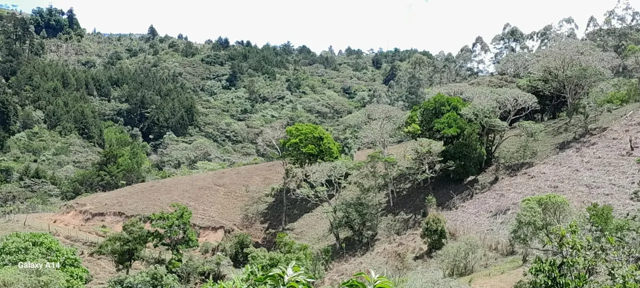 Se vende Finca | Cartago, Ochomogo