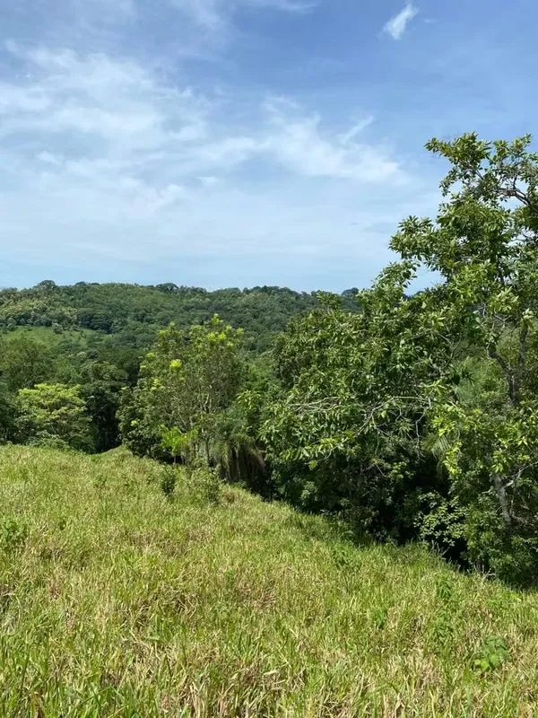 Discover this natural gem in Guacimal de Puntarenas, an extensive land of 92,343.3 m² (more than 9 hectares) located just ...