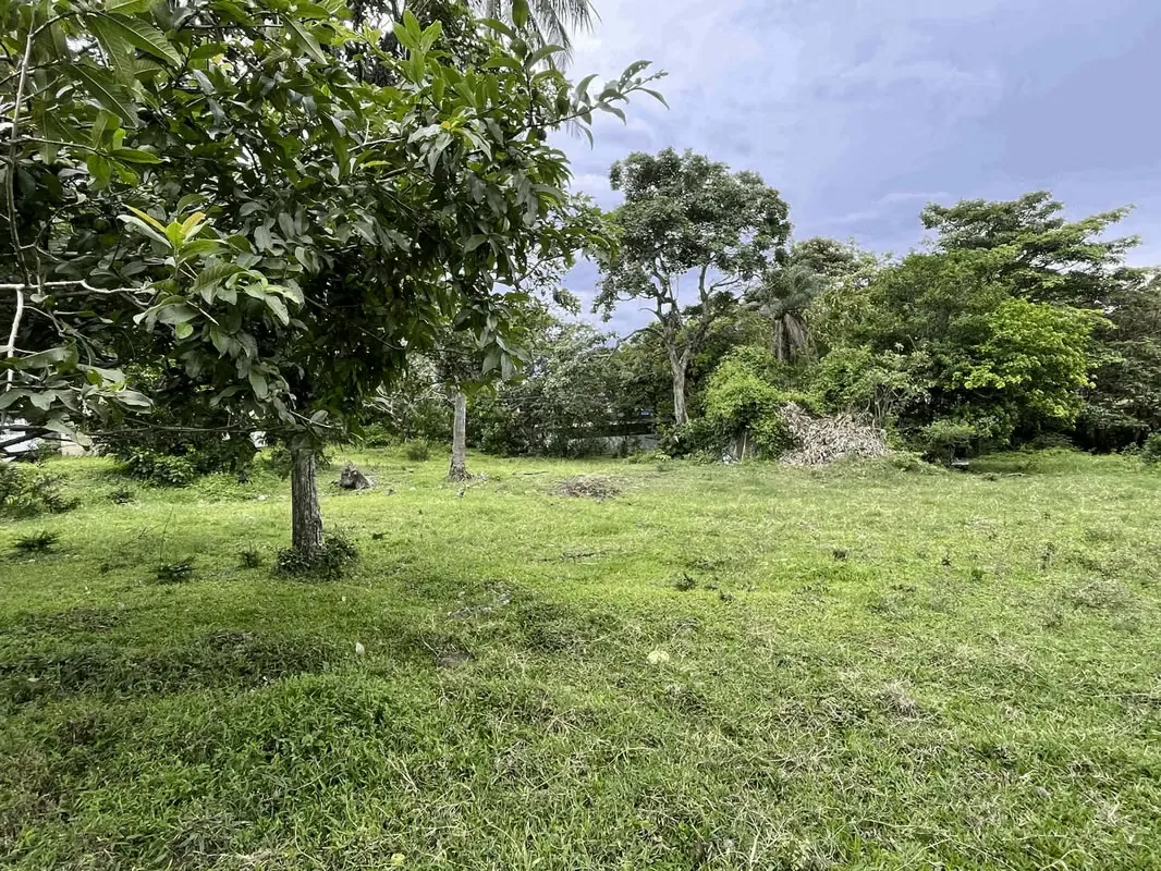 VENTA DE TERRENO PARA DESARROLLO INMOBILIARIO - BRASIL - SANTA ANA