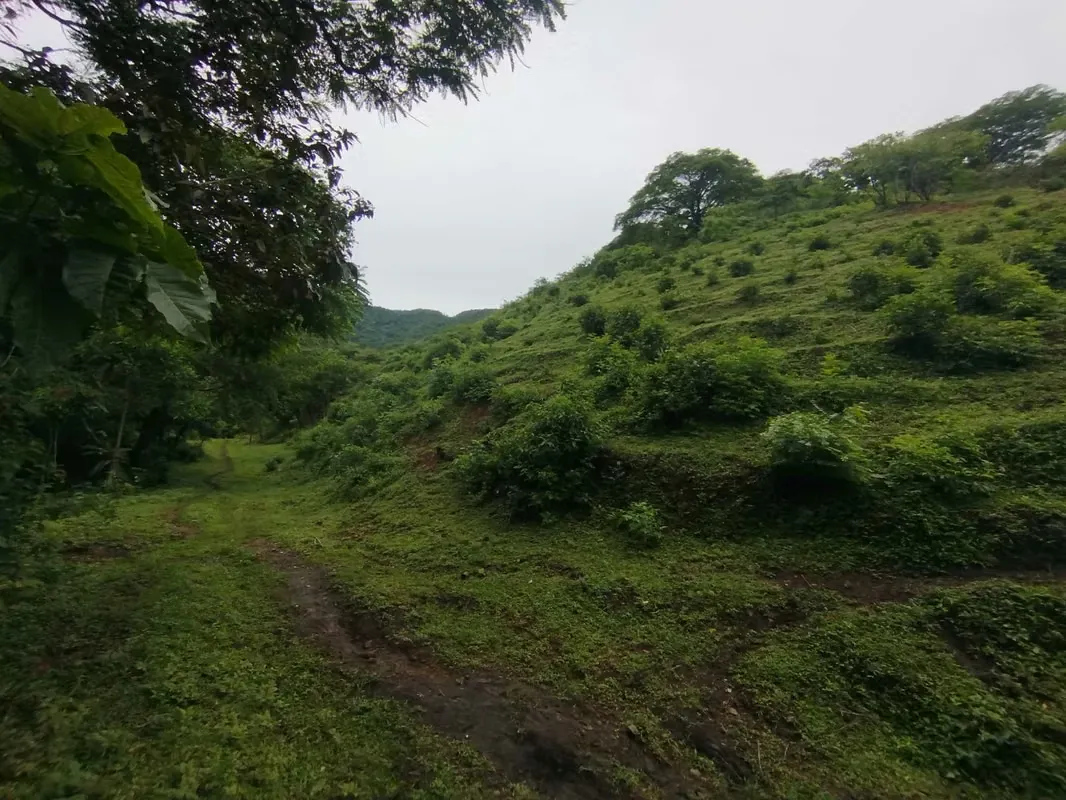 Terreno en Venta – 41.7 Hectáreas en Piedades de Santa Ana