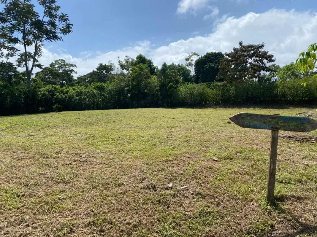 VENTA DE TERRENO DE 1.572 m² EN PEÑAS BLANCAS, SAN RAMÓN DE ALAJUELA