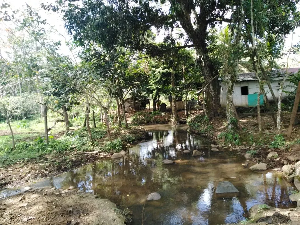 Venta finca ganadera San Ramón