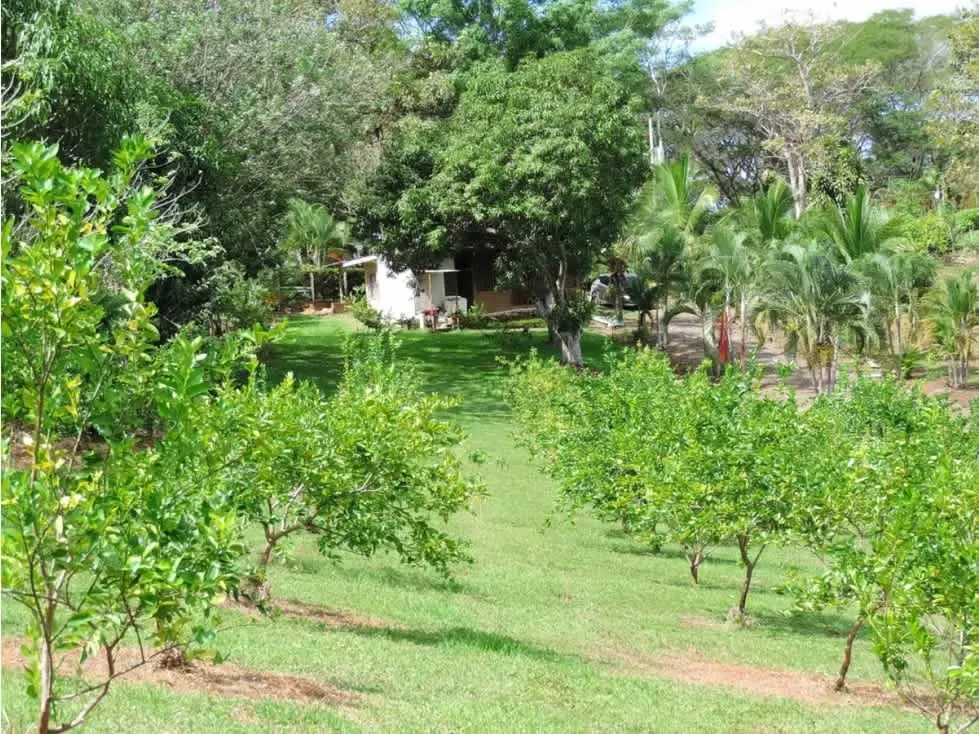 Venta de Quinta, Finca, Puntarenas, Garabito, Tárcoles 4068 (GC)