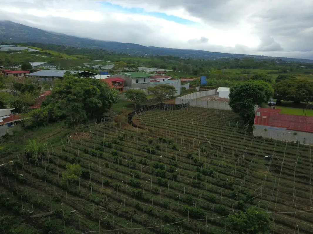 Amplio Terreno en Venta en Alajuela Carrizal — Ideal para Proyecto
