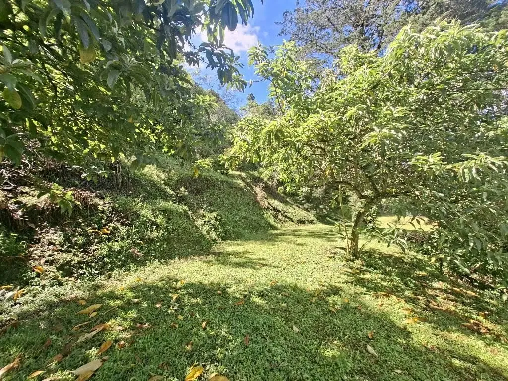 MONTAIN CONDOMINIUM .LAND FOR SALE. VALLEY VIEW. 5,511 m2