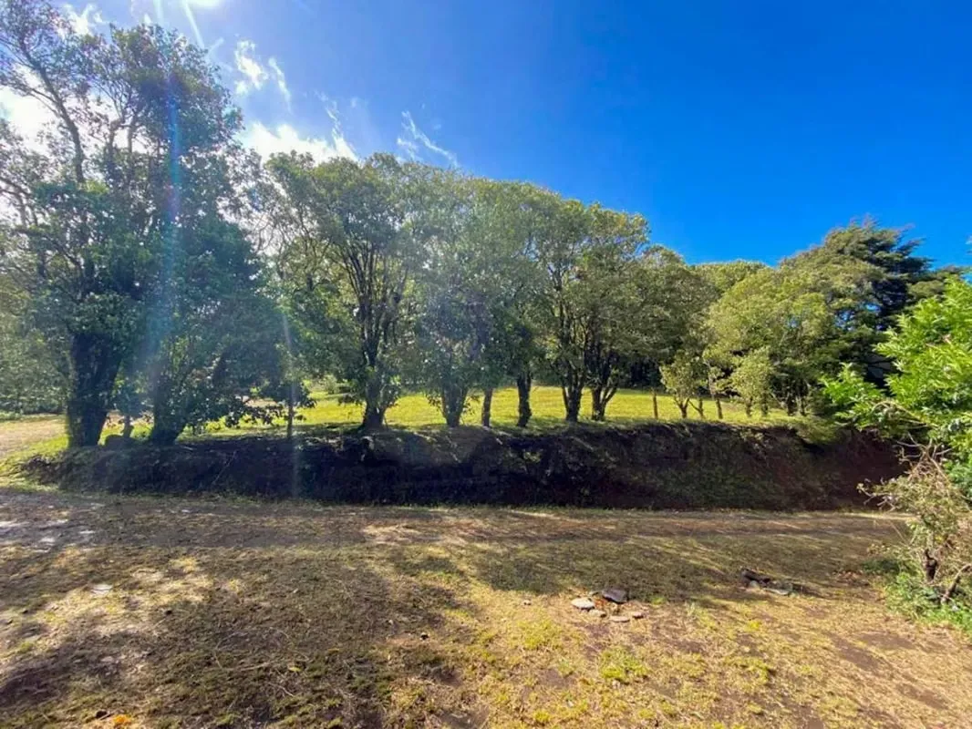 LOT FOR SALE – MONTEVERDE